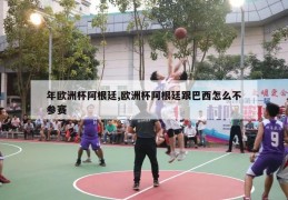 年欧洲杯阿根廷,欧洲杯阿根廷跟巴西怎么不参赛