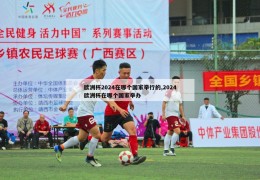 欧洲杯2024在哪个国家举行的,2024欧洲杯在哪个国家举办