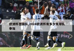 欧洲杯德国队,2024欧洲杯有多少支球队参加