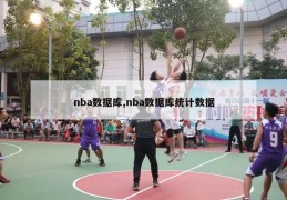 nba数据库,nba数据库统计数据