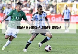 曼城6比0阿森纳,曼城对啊森纳