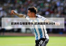 欧洲杯在哪里举办,欧洲国家杯2024