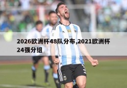 2026欧洲杯48队分布,2021欧洲杯24强分组