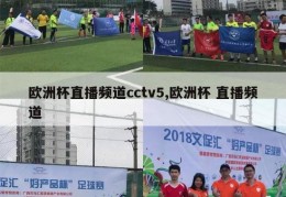 欧洲杯直播频道cctv5,欧洲杯 直播频道