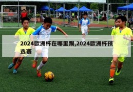 2024欧洲杯在哪里踢,2024欧洲杯预选赛