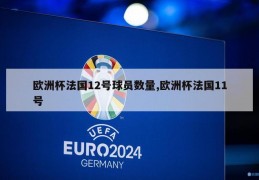 欧洲杯法国12号球员数量,欧洲杯法国11号