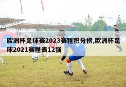 欧洲杯足球赛2023赛程积分榜,欧洲杯足球2021赛程表12强